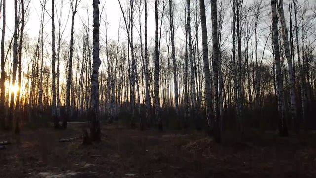 Дзен отключил монету 😭 Мы тут с вами долго блогерсиво после 70 лет Кладбище VIP Не гуляйте с собако смотреть онлайн