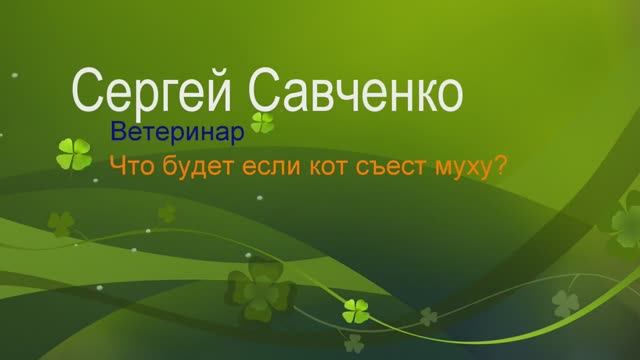 Если кошка ест мух, что будет смотреть онлайн
