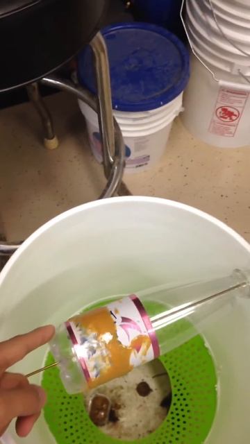 My DIY Non Lethal Mouse Trap смотреть онлайн