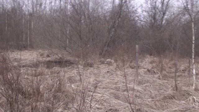 Фрагментище! подъем взрячую. Добыч смотреть онлайн