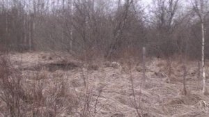 Фрагментище! подъем взрячую. Добыч