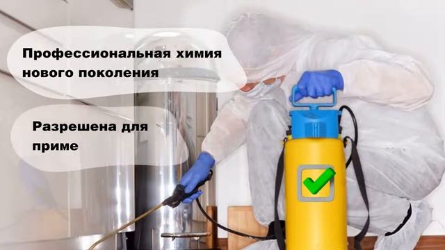 Дезсервис. Анимированный ролик на заказ. Рекламное видео недорого смотреть онлайн
