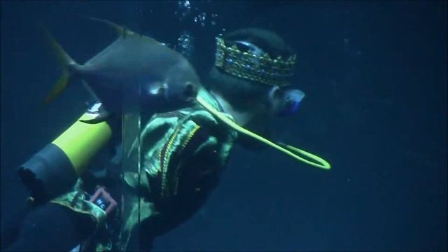 Русалка. Океанариум в Париже смотреть онлайн