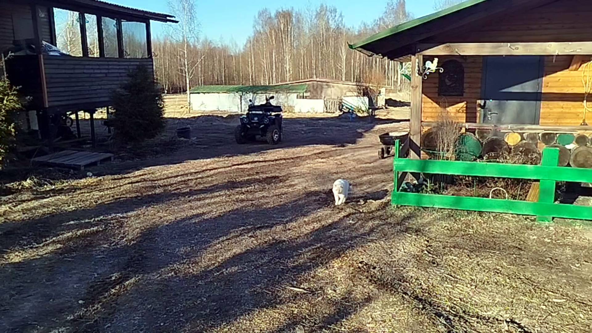 ХОЧУ УПАСТЬ В ЗЕЛЕНУЮ ТРАВУ И ЛЕЖАТЬ ПОКА НЕ ПРИНЕСУТ ШАШЛЫК🌷🪻🌼 смотреть онлайн