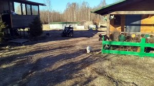 ХОЧУ УПАСТЬ В ЗЕЛЕНУЮ ТРАВУ И ЛЕЖАТЬ ПОКА НЕ ПРИНЕСУТ ШАШЛЫК🌷🪻🌼