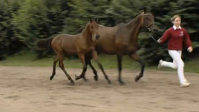 Quaalerteich Cormint - Corrado I - Kilian смотреть онлайн