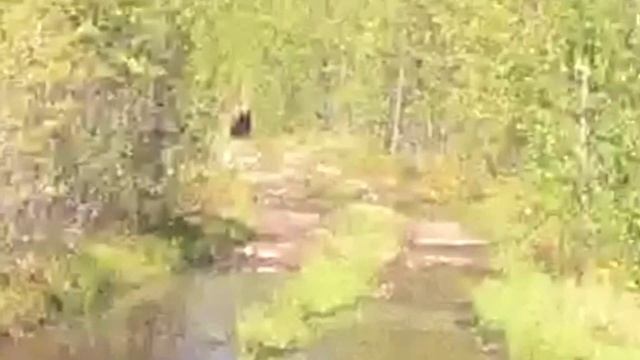 МедвеД Звук смотреть онлайн