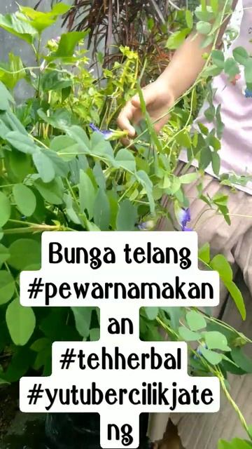 1 Januari 2023 смотреть онлайн