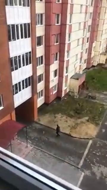 Дети в Новом Уренгое бросают пакет с водой из окна смотреть онлайн