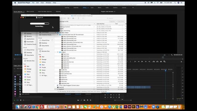 How To Fix Audio and Video Out of Sync When Importing QuickTime Video Into Premiere Pro on a Mac смотреть онлайн