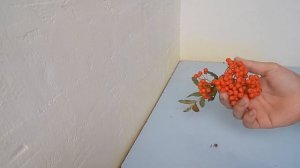 How to Make#12:Игрушка детства