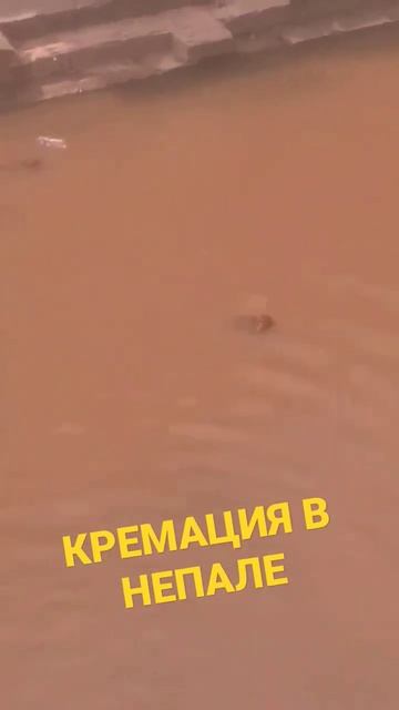 Кремация в Непале. Видео от Https://t.me/wayaway18