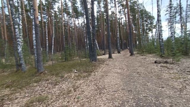VLOG 💥ПРОГУЛЯЕМСЯ В ВЕСЕННЕМ ЛЕСУ🌲ПОГОВОРИМ О СПЕКТАКЛЕ "ОБНИМИ МЕНЯ"♥️ смотреть онлайн