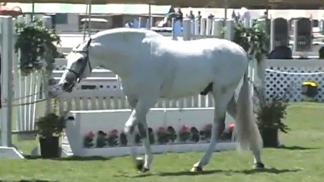 Cunningham - Menlo смотреть онлайн