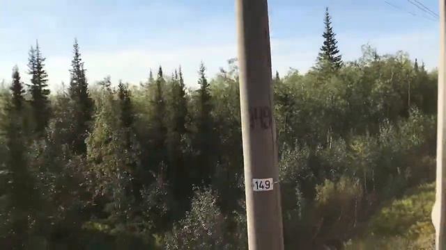 Воркута близко! Лето в Заполярье под красивый стук колес) смотреть онлайн