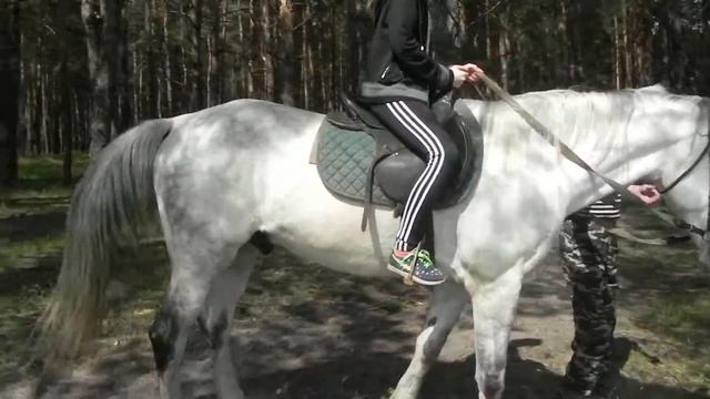 02 05 2016 катание на Балхаше смотреть онлайн