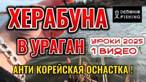 КАК ловить на ХЕРАБУНУ в СИЛЬНЫЙ ВЕТЕР | Анти Корейская оснастка | Школа Херабуны | 2025 Видео 1