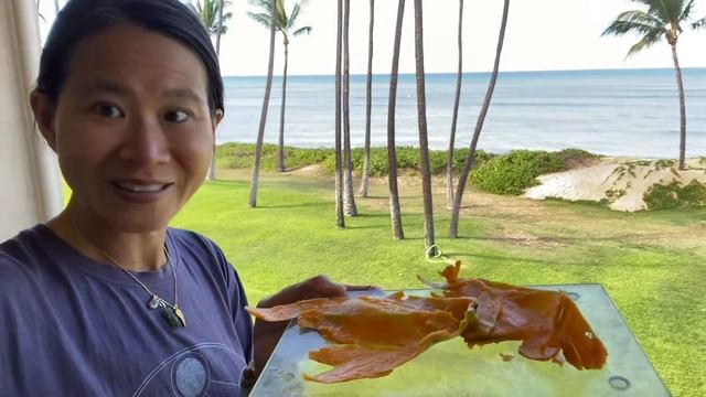 Papaya’s skin prevents sun damage from UV rays — Hawaiian Reverse Aging смотреть онлайн
