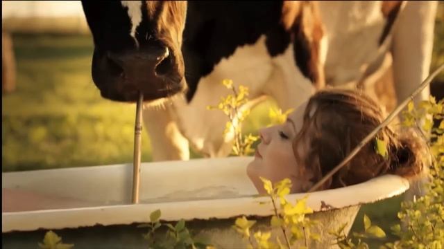 Добрыня "Джакузи" смотреть онлайн