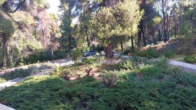 Hotel Dryades | Halkidiki-Kassandra смотреть онлайн