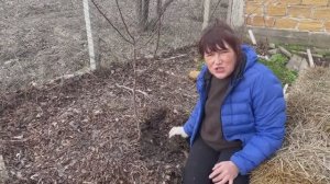 КАК МЫ УЛУЧШАЛИ ПОЧВУ НА УЧАСТКЕ В КРЫМУ