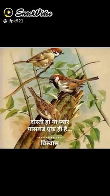 24 September 2021 смотреть онлайн