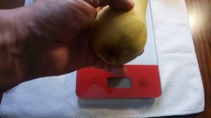 Груша Кюре  (Curé)