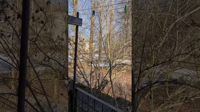 6 апреля 2023 г. смотреть онлайн