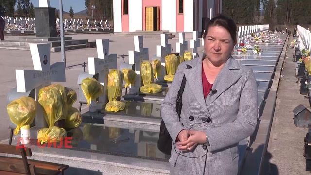 DOSIJE: MALI ZEJTINLIK