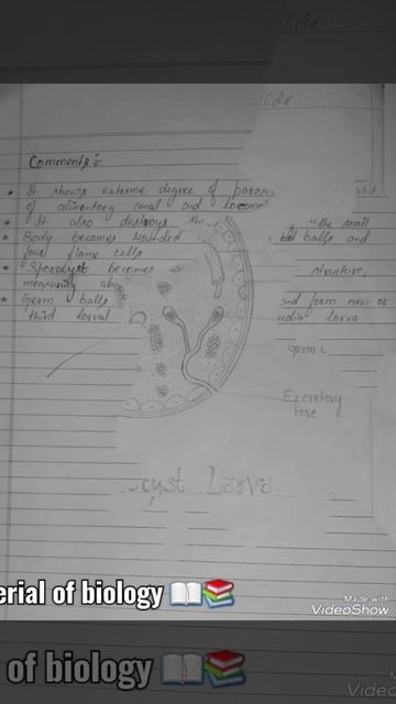study of permanent slide (#_Sporocyst larva ) ppu B.sc1st year #_zoologylab practical смотреть онлайн