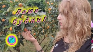 #Абхазия!🌴Сухум. Каштак. Гостевой Дом "АлиСер".❤🌹 Наши будни! Наш сад!