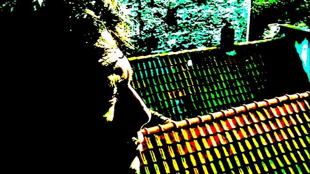 Сухроб - Вместе