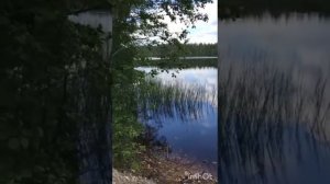 Рыбалка на озере Раздолинское Приозерского района Ленинградской области.