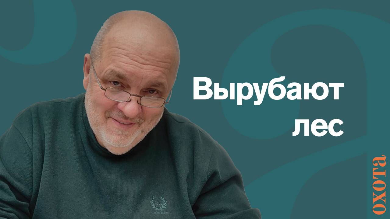 Вырубка лесов. Валерий Кузенков, мнение о вырубке охотоведов.