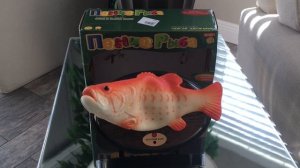 веселый карп (Russian Singing Fish) - Orange