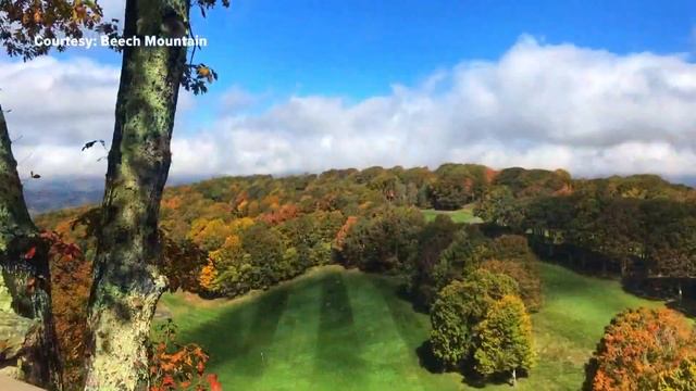 Hurricane Ian's impact on fall foliage смотреть онлайн