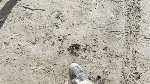 проверка эбу на авто