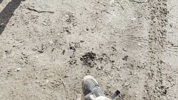 проверка эбу на авто