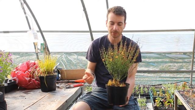 Plants Looking Good This Week! смотреть онлайн