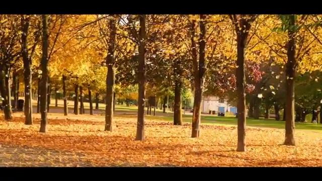 GH5 - Glasgow Green in the Autumn смотреть онлайн