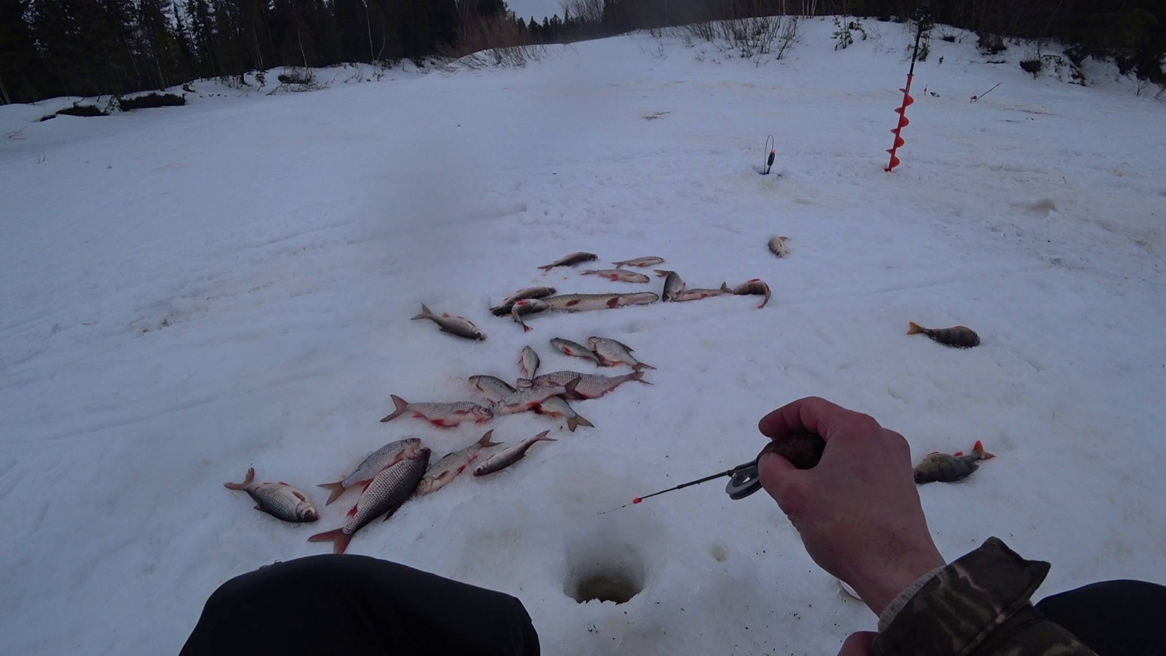 НАШЁЛ ПОД ВЕЧЕР РЫБНУЮ ЛУНКУ.ЗИМНЯЯ РЫБАЛКА НА ТАЁЖНОЙ РЕКЕ. смотреть онлайн