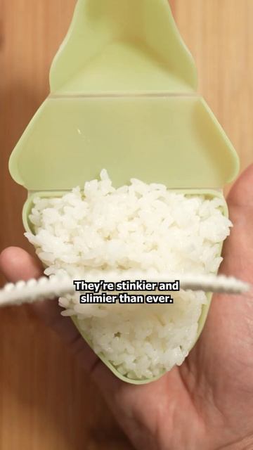 My Favorite Rice Ball