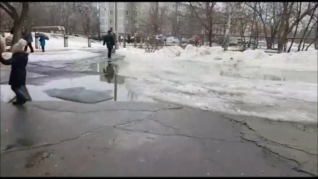 Сходил на выборы, ...Навальный вероятно в панике ) смотреть онлайн