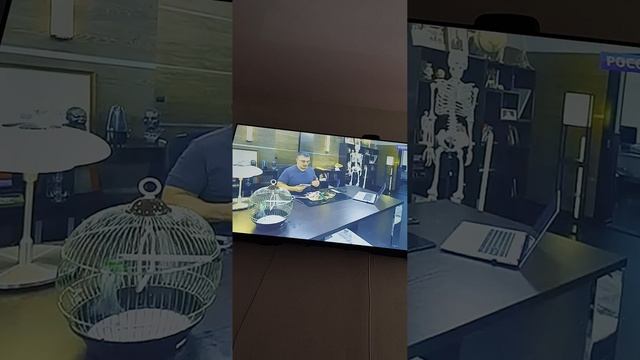 Сало и жир вот наш кумир....