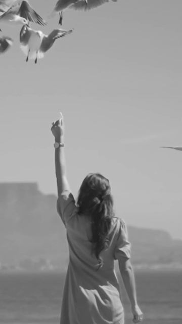 Как сделать видео Черно Белым в Premiere Pro #shorts