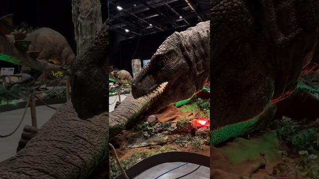 Dinosaures, Dinosaurus, Dino, Dinos : T-Rex, Raptor, Triceratops … смотреть онлайн