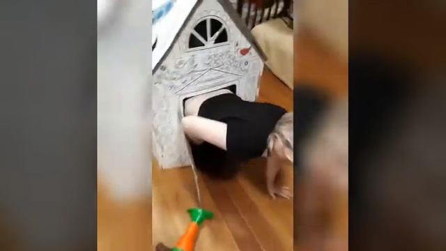 Как Винни Пух пришел в гости к кролику🤣🤣🤣 и застрял😂 #винни #пух #кролик смотреть онлайн