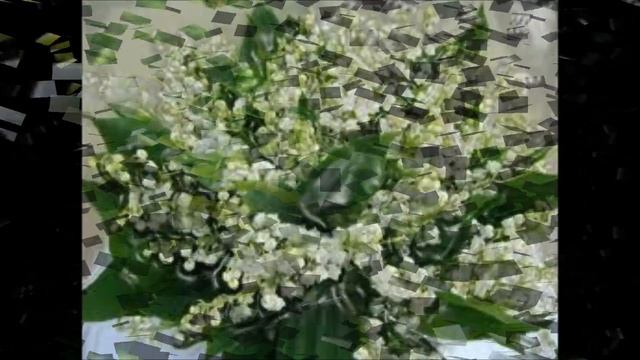 tarja - i feel immortal - muguet porte bonheur смотреть онлайн