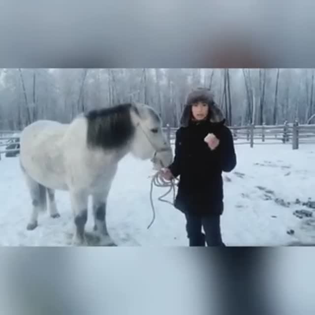 Алампа "Харчы" хоһооно смотреть онлайн