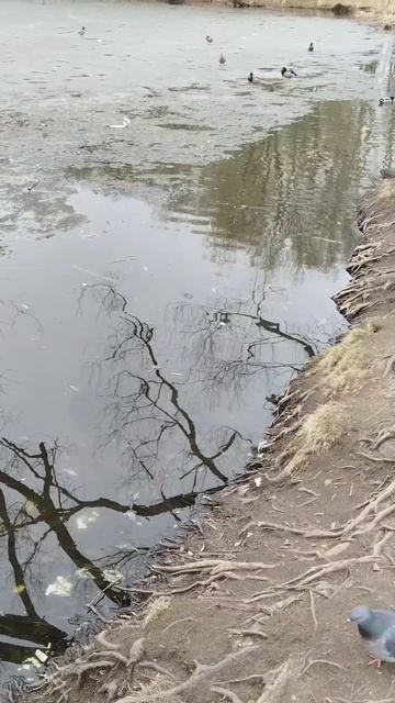 Как же красива наша природа 😍 смотреть онлайн